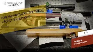 Как стрелять золотую муху