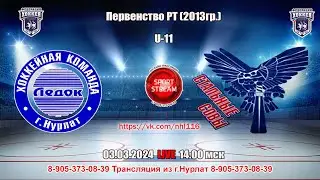 03.03.2024 ЛЕДОК (Нурлат) - СТАЛЬНЫЕ СОВЫ (Черемшан) LIVE 