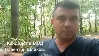 #ВыборыМОД