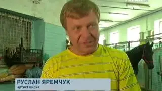 Цирк приехал
