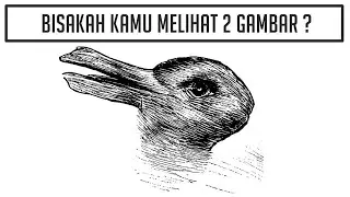 Tes Ketajaman Mata !! Bisakah Kamu Melihat 2 Gambar pada Ilusi Ini ?