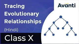 Tracing Evolutionary Relationships | Heredity and Evolution | Avanti Gurukul