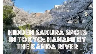 Hidden Sakura Spots in Tokyo: A Local’s Guide to Hanami by the Kanda River