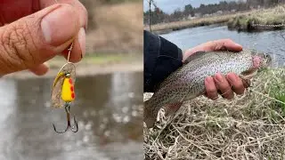 Massachusetts rainbow trout with Spinners (Shawsheen River, Tewksbury) 