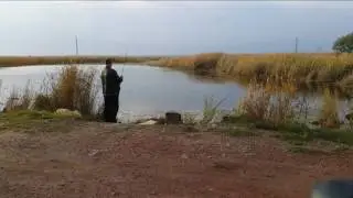 Быстрее бы лето! Зарисовка
