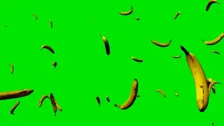Banana Falling Animation Green Screen background HD video