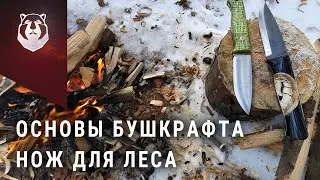 Нож для леса. Какой нож выбрать для бушкрафта. Сканди или линза?