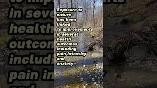 Benefits of Exposure to Nature for People with Chronic Pain