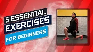 5 Exercises Every Beginner Should Try (FULL DEMOS + REPS/SETS)