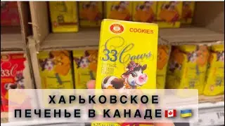🇺🇦УКРАИНСКИЕ ПРОДУКТЫ В КАНАДЕ 🇨🇦СПОРТЗАЛ В НАШЕМ ДОМЕ