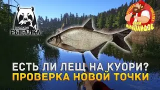 Лещ • Куори • Проверка точки