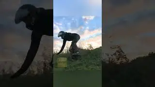 Моноколесо 