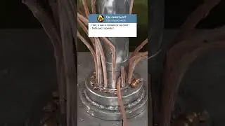 Анекдот про папу и сына 