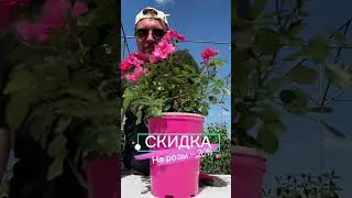 Всемирный день розы 21 мая!