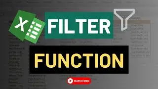 How To Use Excel FILTER Function With Multiple Criteria ? Unlocking Hidden Criteria
