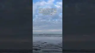 Friends go for a swim and the tide almost takes their phone!