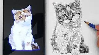 Drawing and Shading a Cat | Drawing Animals with Fur