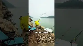 Псих с гигантской удочкой 😱