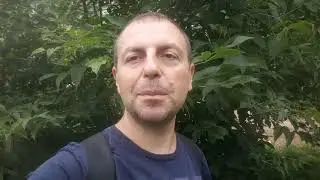 31 июля Емельянов день 