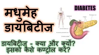डायबिटीज - क्या और क्यों? इसको कैसे कण्ट्रोल करें? Diabetes, what is it and how to control it.