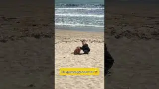 @maltipoo_j.t.j ДжейТи не трогает детей, даже если они ведут себя неаккуратно🙌