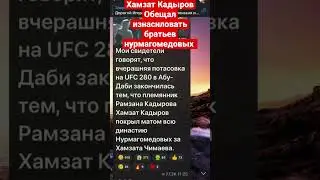 Хамзат Кадыров жёстко наехал Хабиба и его брата