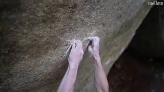 Ryuichi Murai: 