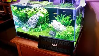 UNBOXING AND REVEIW:  JC&P Aquarium Light