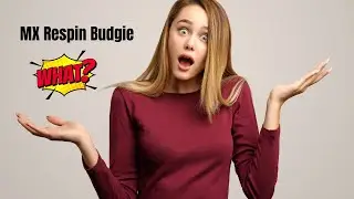 MX Respin Budgie Desktop