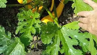 ВЧЕРАШНИЙ  ФРОНТ  РАБОТЫ!!! СКУЧАТЬ  НЕКОГДА!!