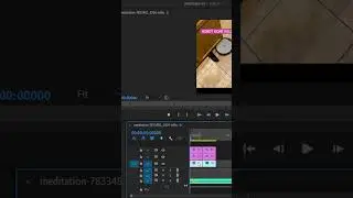 Reverse a clip in premiere pro in 22 sec