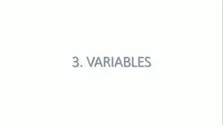 3. Variables