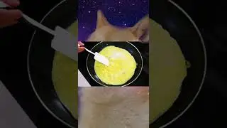 BẠN HỎI TÔI TRẢ LỜI 🫵 | Phần 9 #jenvn  #robloxmemes #memes #shortvideo #viralshort