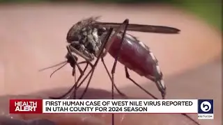 First human case of West Nile Virus confirmed in Utah County