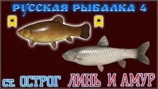 РР4 ОСТРОГ ЛИНЬ И АМУР / РУССКАЯ РЫБАЛКА 4 ОСТРОГ ЛИНЬ АМУР / RUSSIAN FISHING 4 OLD BURG LAKE TENCH