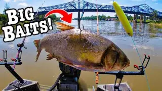 Dropping INVASIVE FISH below Bridges FOR BIGGER FISH!!! (River JIGGING!!)