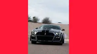 MUSTANG SHELBY GT500 