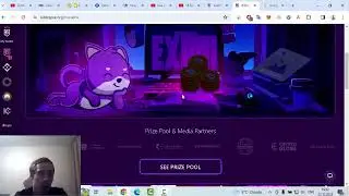Bitdegree. Обчение WEB 3 технологиям и знакомство с криптовалютой онлайн