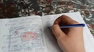 Расчёт по выращиванию бройлера от яйца до забоя/ жизнь в деревне/