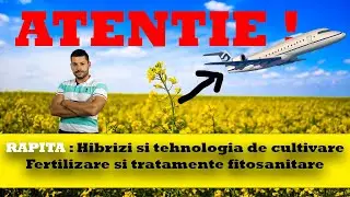 Totul despre Cultura de Rapita | Combustibil pentru AVIOANE ?