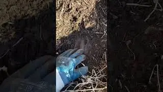 Первый электродвигатель в сезоне 2024. #металлокоп#чермет#копметалла