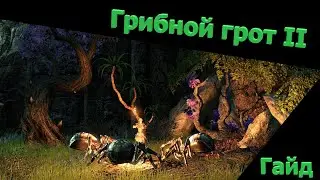 Грибной грот 2