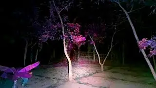 HANTU WANITA MENGERIKAN BERMUKA RUSAK PARAH BIKIN NGERI‼️LIVE MISTERI