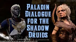 Baldur's Gate 3 Patch 9: Paladin Dialogue for the Shadow Druids