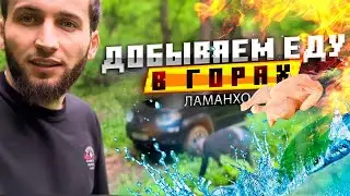 Беной | искали еду в горах Чечни | 4k