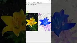Imcomplement command on RGB image in Matlab