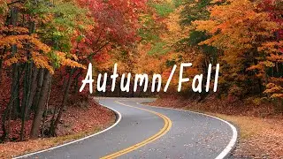 Indie/Indie-Folk Compilation - Autumn/Fall 2023
