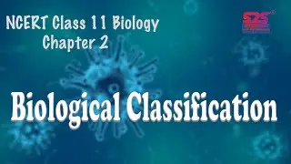 Class 11 Biology-Chapter2 -Biological Classification System | CBSE, NCERT| Quick Revision |JEE, NEET