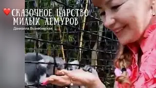 Сказка❤️ Царство лемуров - минуты счастья! ❤️ зоопарк 