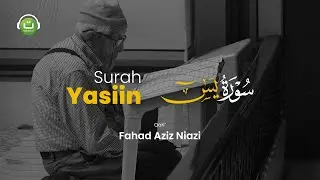 Surah Yasiin Merdu | Fahad Aziz Niazi | سورة يس | Tadabbur Daily